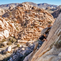 Día de Escalada en Joshua Tree