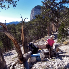 Taking a break on the trail