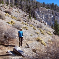 On the trail