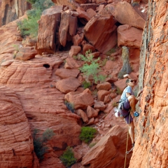 Escalando en roca en el Cañón Red Rock