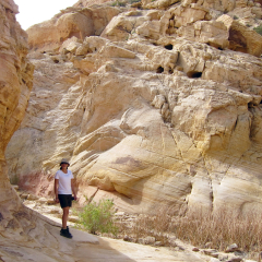 Haciendo senderismo en el Cañón Red Rock