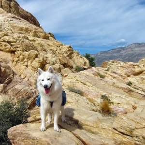 Happy hiker at Red Rocks Canyon