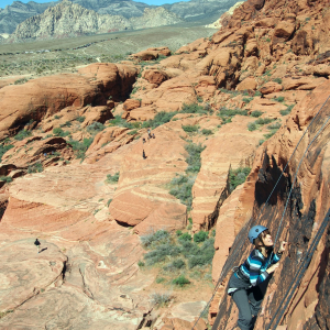 Top of the wall in sight