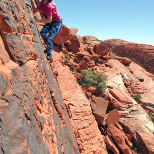 High up on the wall
