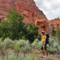 Hiking in Zion