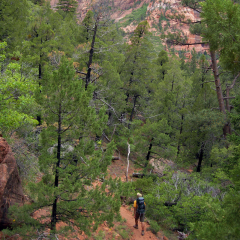 Caminando en el Parque Nacional Zion