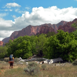 Hiking in Zion