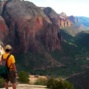 Looking into Zion Canyon