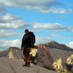 At Zion's Western Rim
