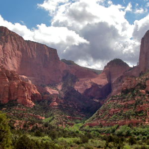 Zion National Park