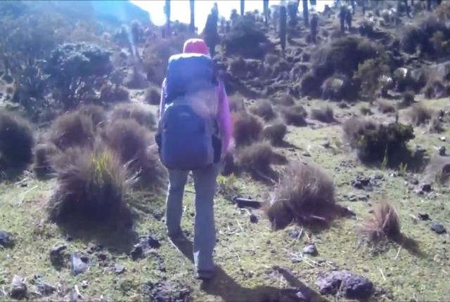 Travesía por Los Nevados